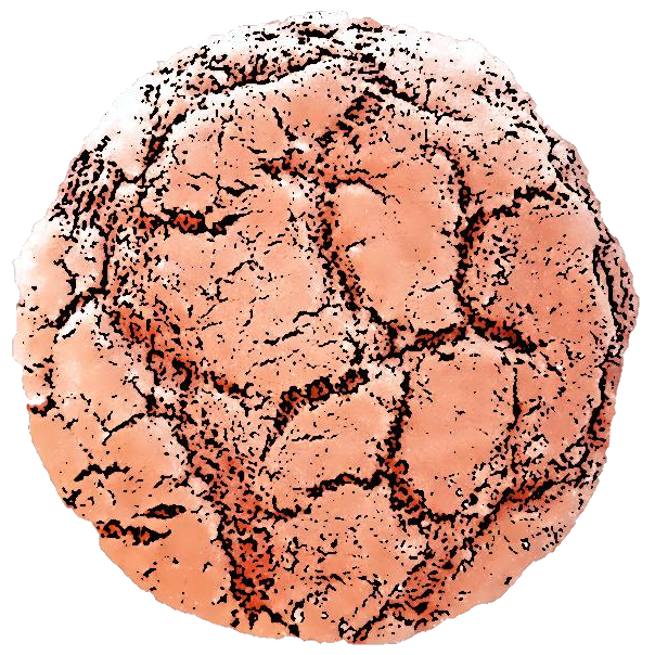 Gingersnap logo